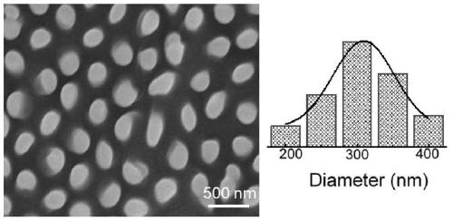 Flexible intelligent piezoelectric sensor based on coupling of pentacene organic field effect transistor and PVDF nanorod