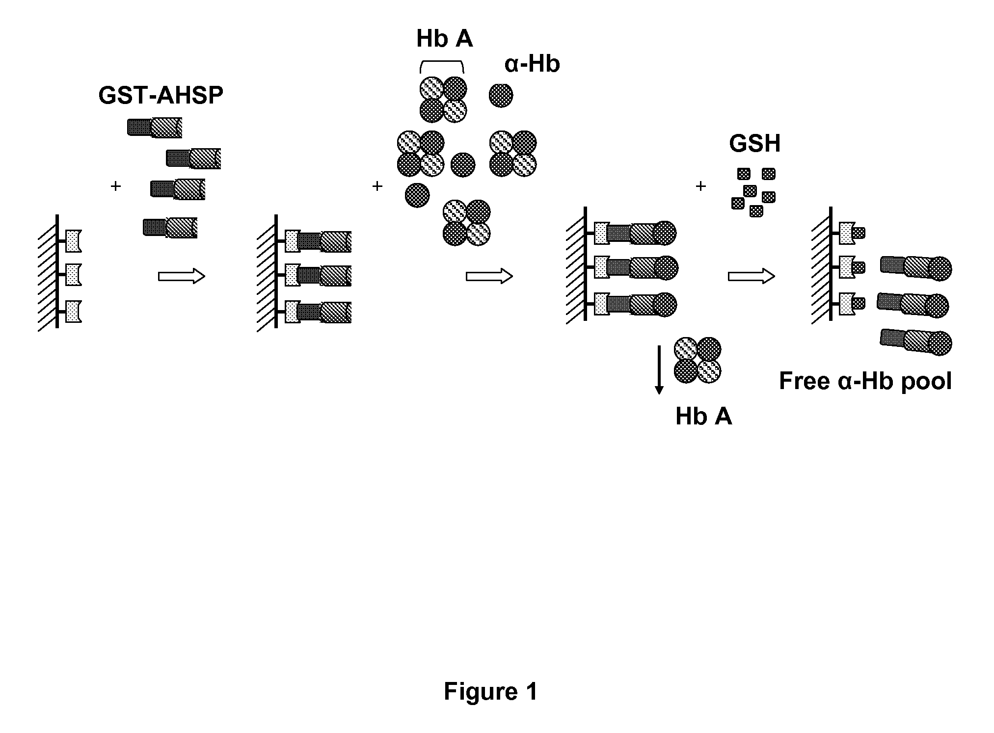 Method for diagnosing a hemoglobin-related disorder