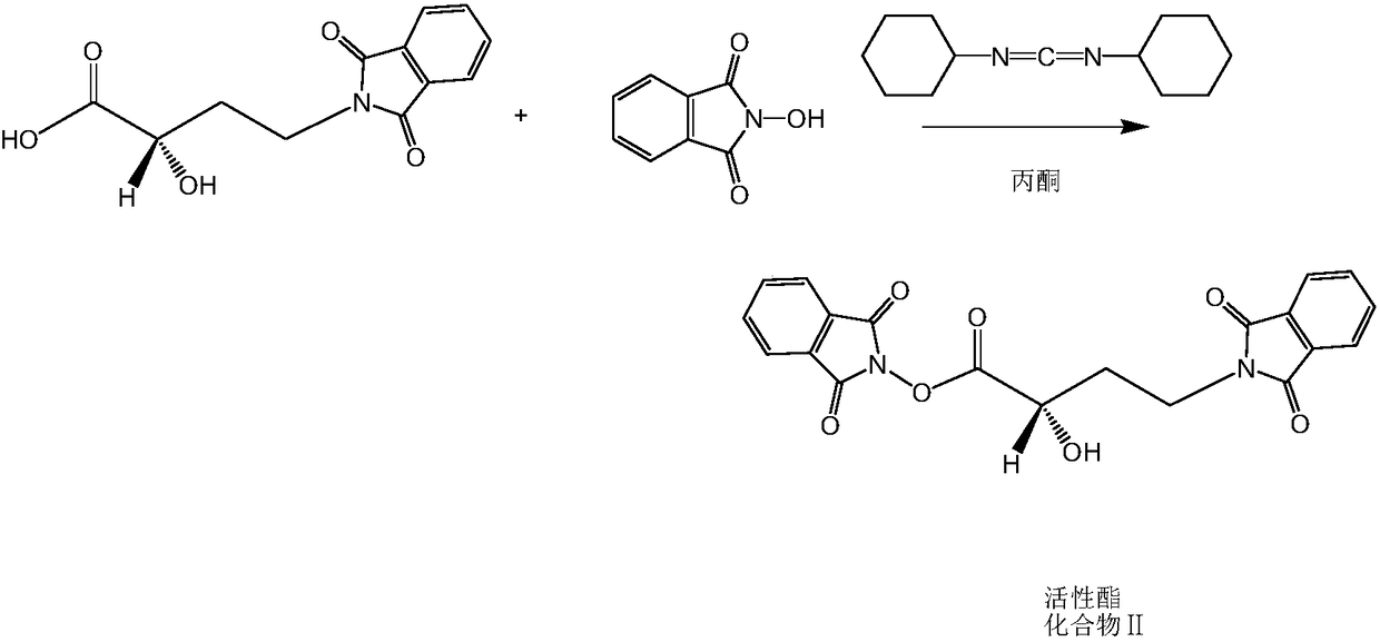 A kind of synthetic method of amikacin