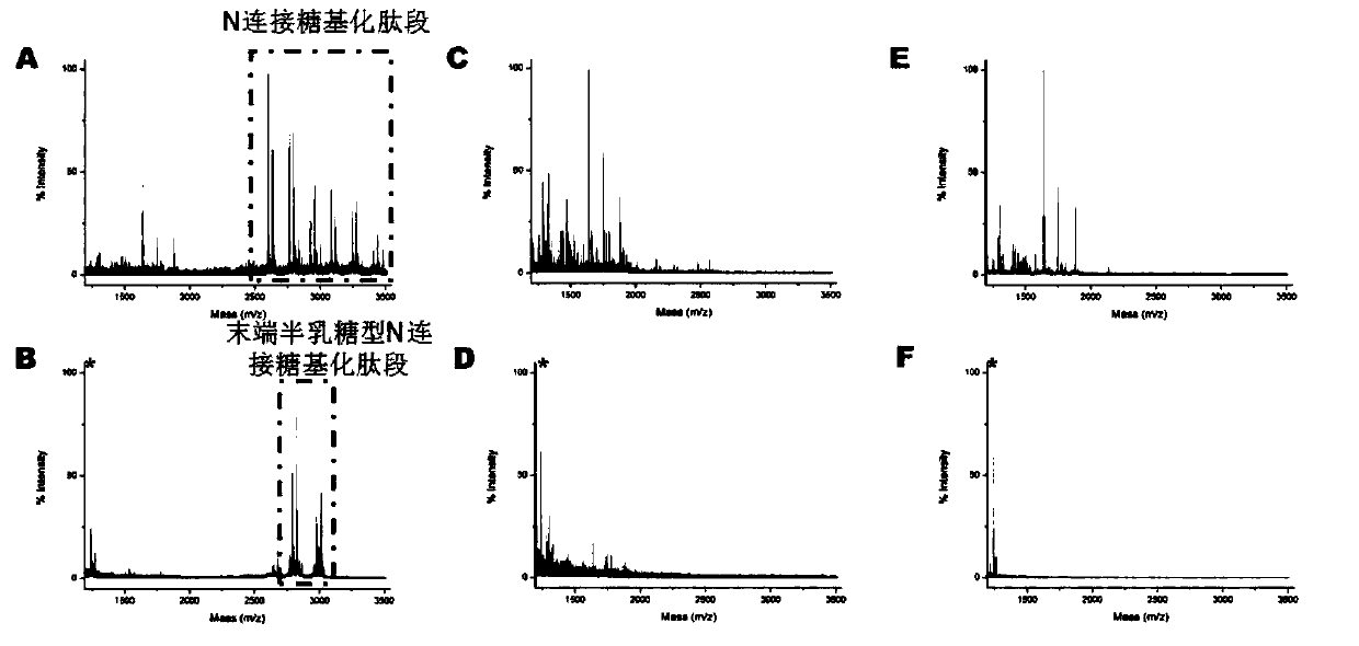 Human serum O-glycosylation identification method based on chemical enzymatic catalysis