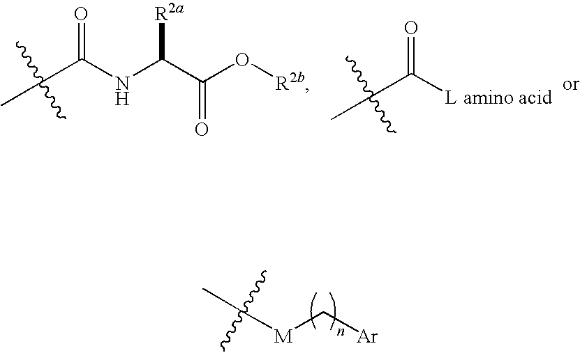 IAP binding compounds