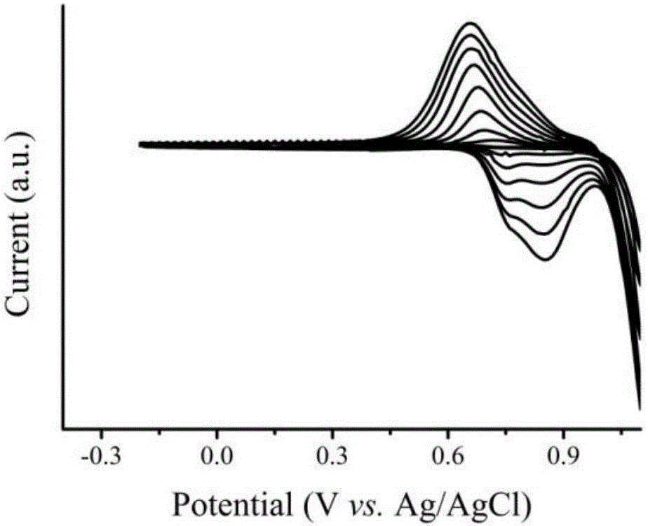 Fluorescent film sensor for fluoride ion detection and preparation method of fluorescent film sensor