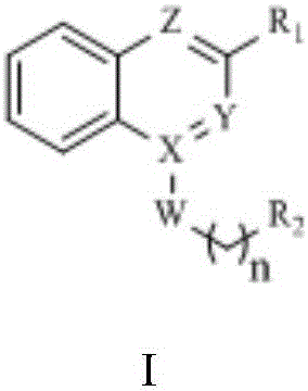 Disubstituted bicyclic derivative and application thereof as efflux pump inhibitor to anti-microbial