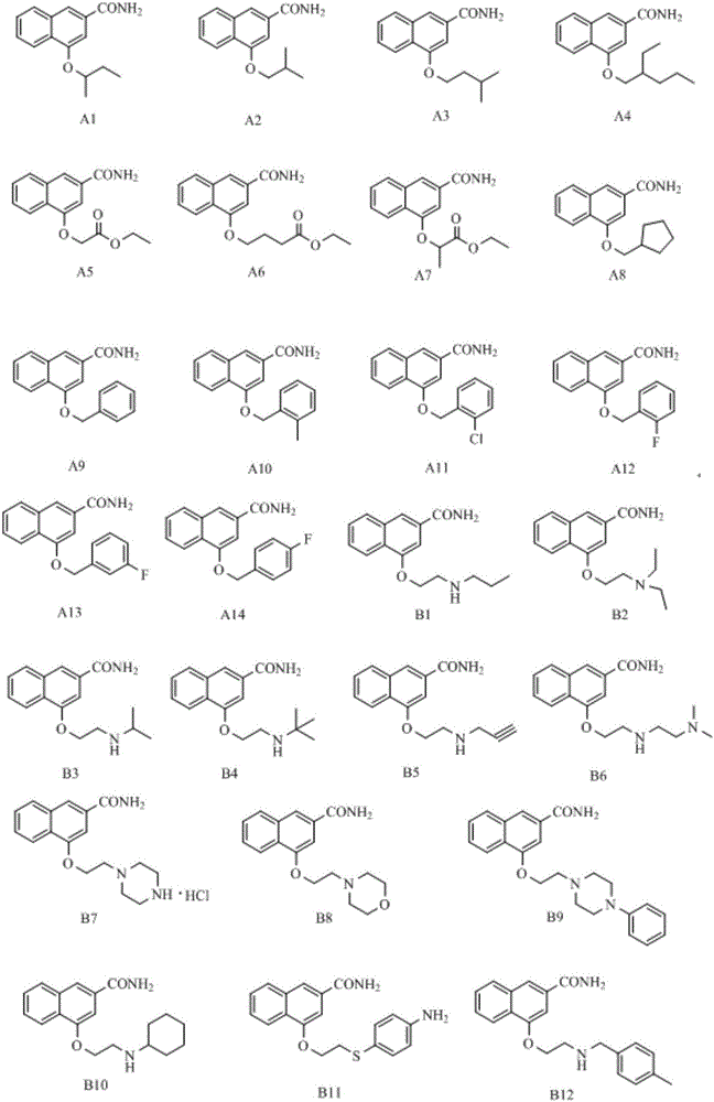 Disubstituted bicyclic derivative and application thereof as efflux pump inhibitor to anti-microbial