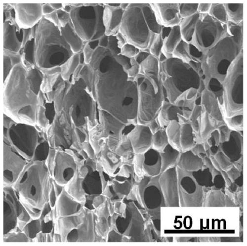 High-phosphorus-nitrogen co-doped three-dimensional porous carbon block and preparation method and application thereof