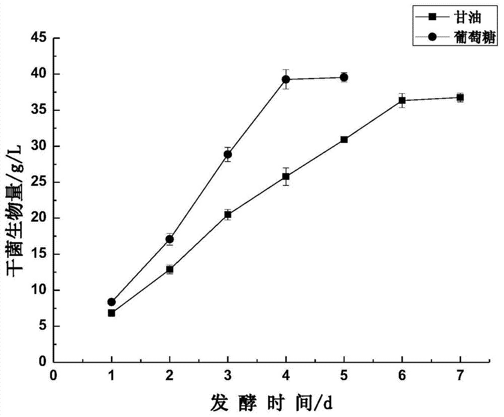 Method for producing DHA (Docosahexaenoic Acid) by fermenting schizochytrium limacinum via mixed carbon source