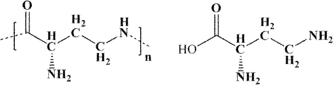 Preparation method for L-2,4-diaminobutyric acid