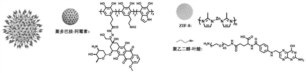 Targeted ZIF-8-polydopamine prodrug nanoparticles and preparation method and application thereof