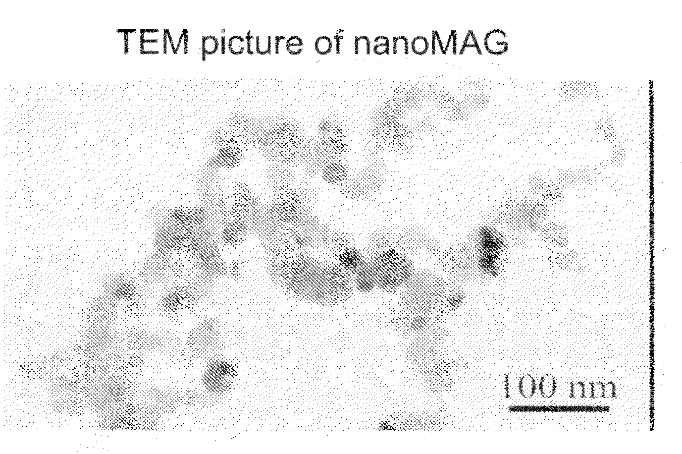 Magnetic Nanoparticles Compositions and Uses Thereof