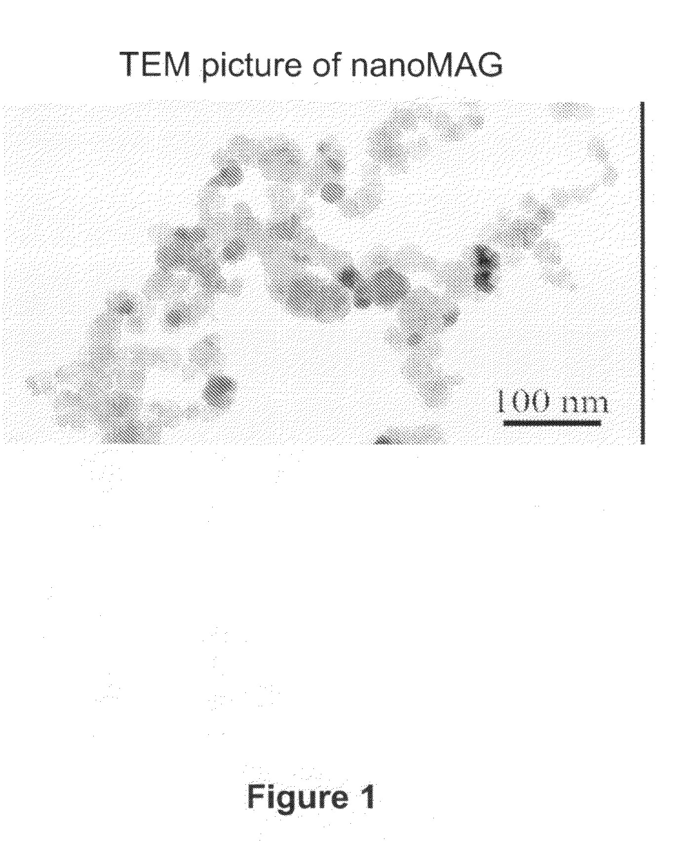 Magnetic Nanoparticles Compositions and Uses Thereof