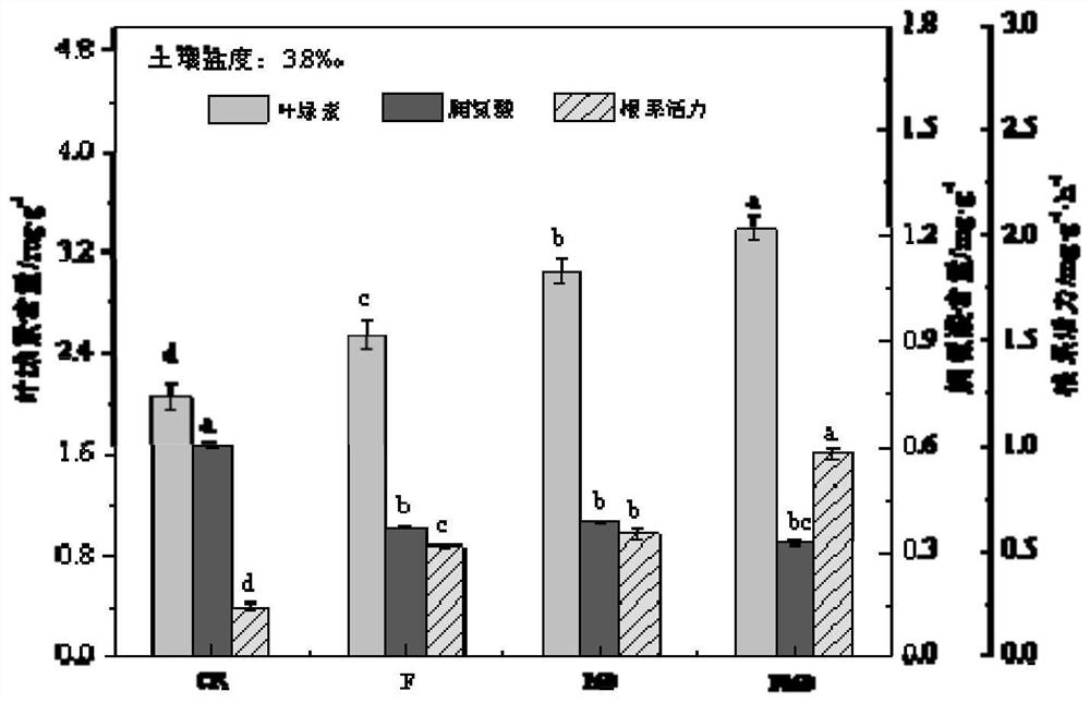 Composite biological soil conditioner and its preparation method and application