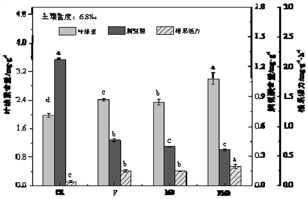 Composite biological soil conditioner and its preparation method and application