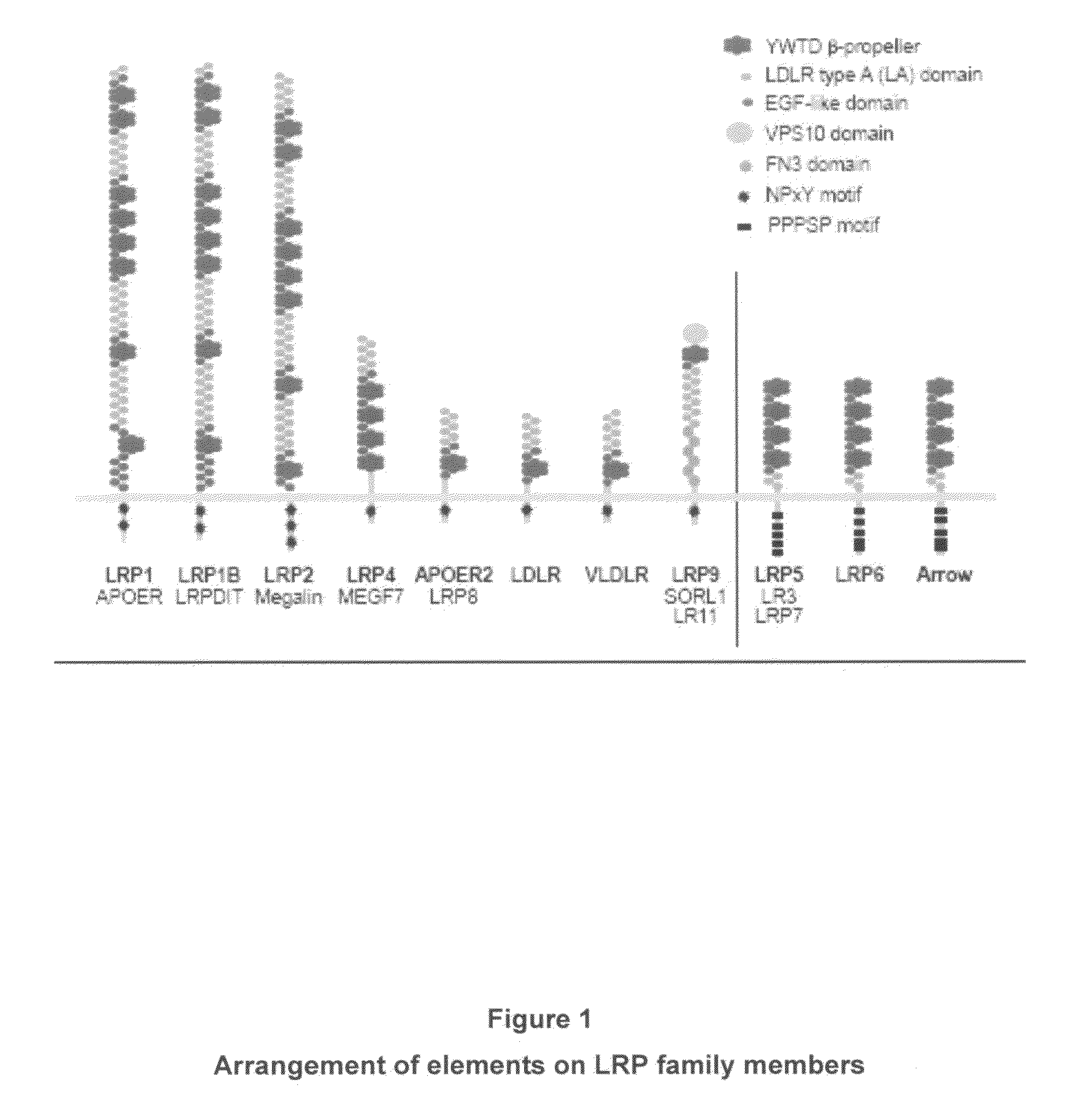 Method for treating inflammation by administering a compound which binds LDL-receptor-related protein (LRP) ligand binding domain