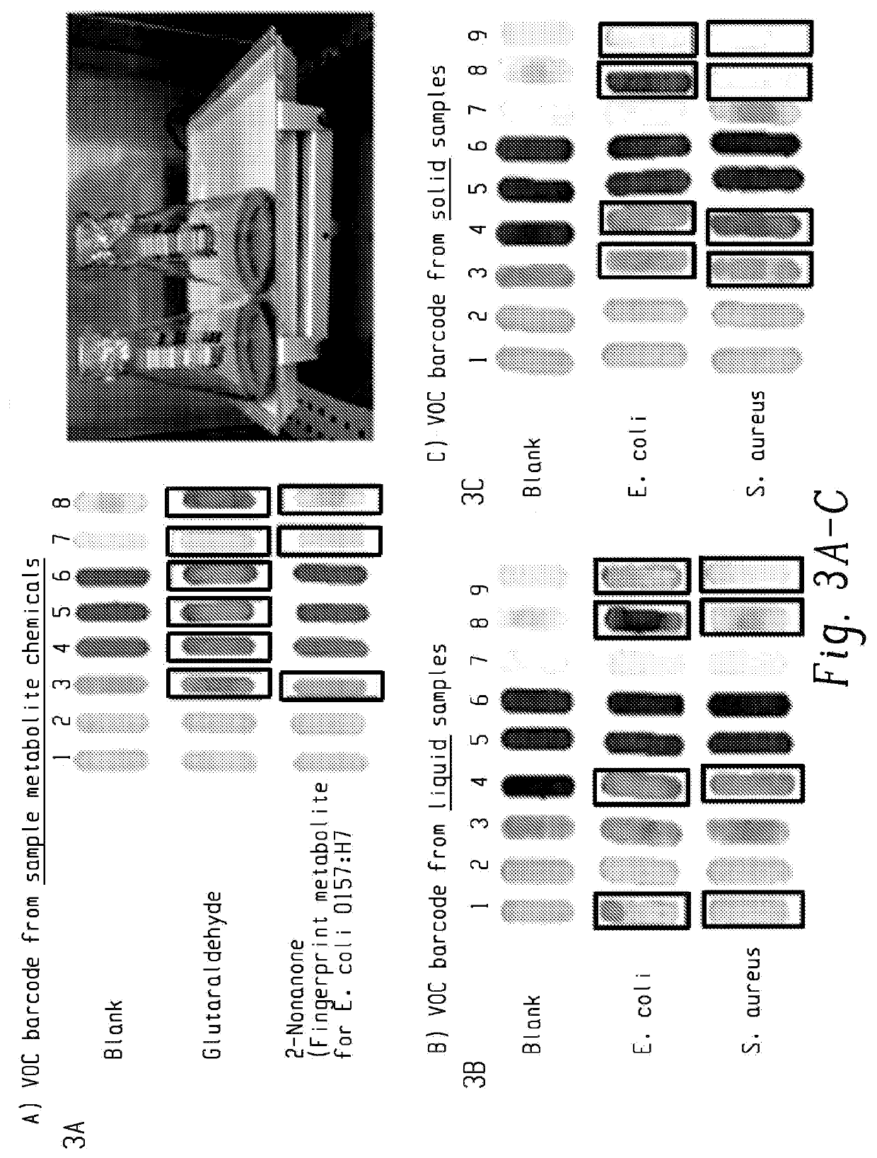 Method and System for Chromogenic Array-Based Food Testing