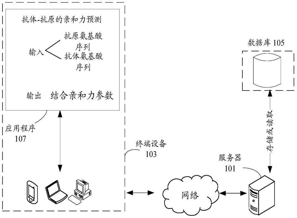 Binding affinity prediction method and device based on antigen and antibody sequences