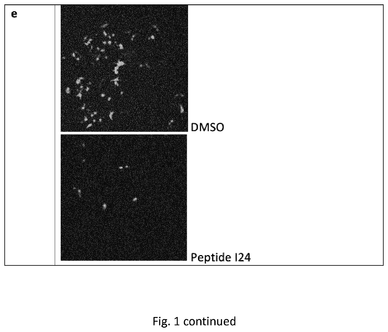 Gene expression inhibitors