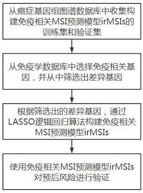 MSI prediction model construction method based on immune-related genes