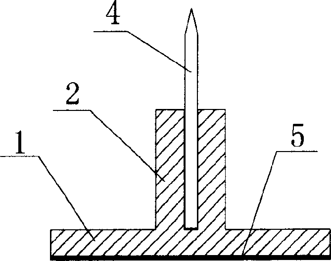 Fruit support device and method