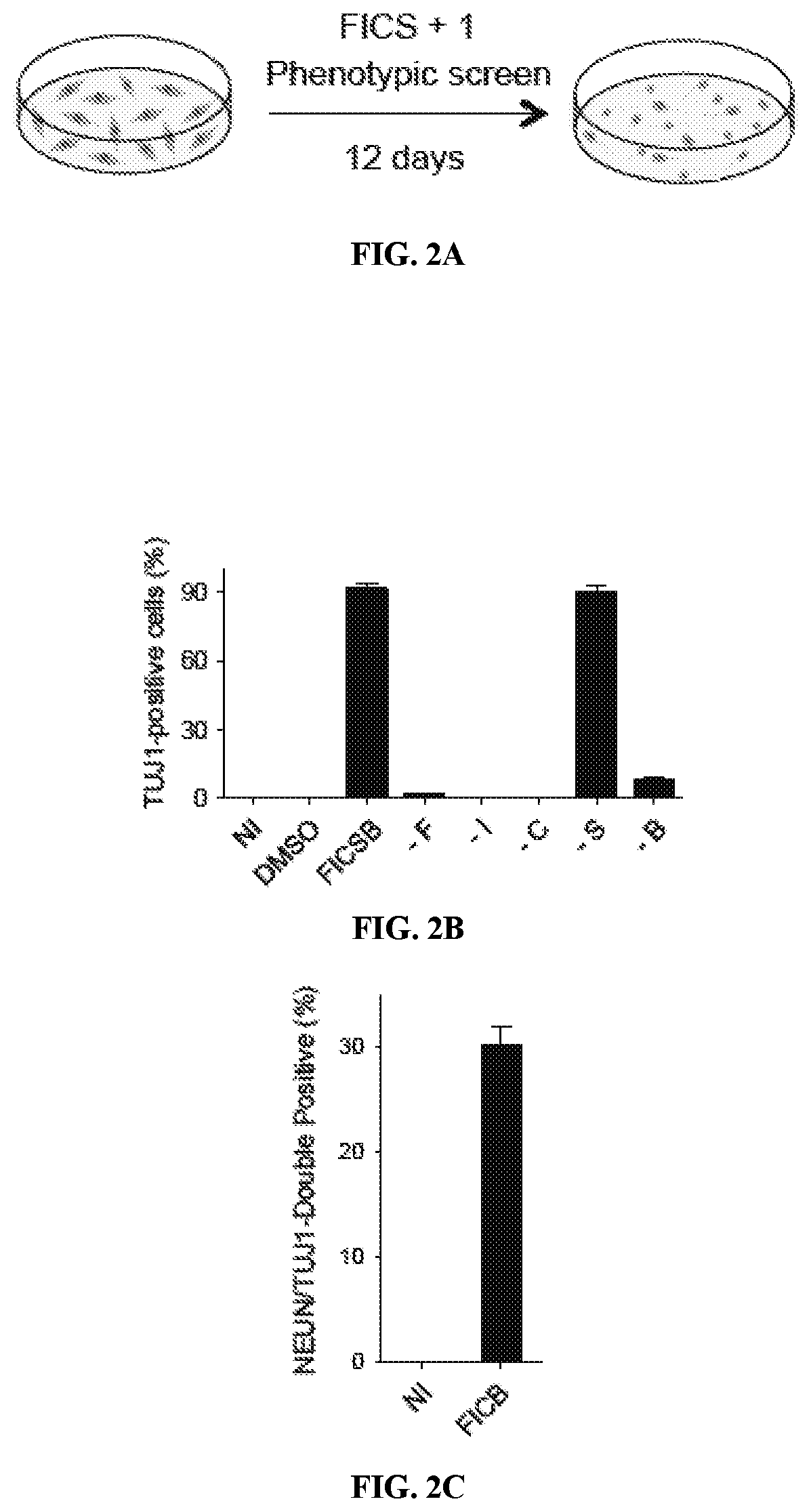 Compositions and methods for reprogramming non-neuronal cells into neuron-like cells