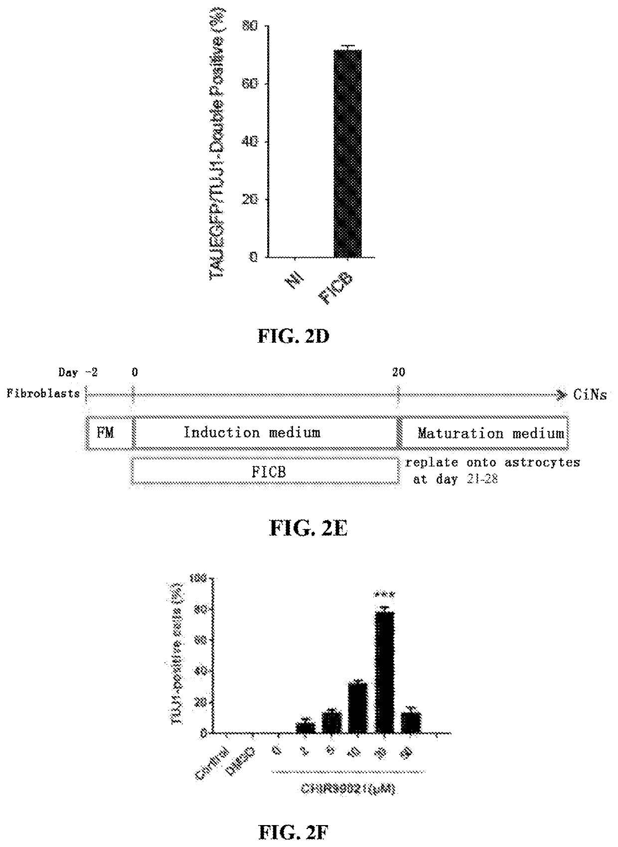 Compositions and methods for reprogramming non-neuronal cells into neuron-like cells