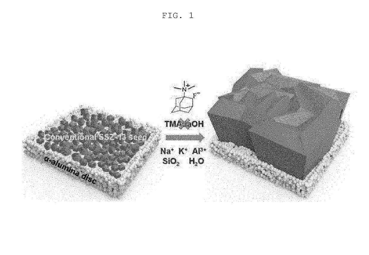 Method of fabricating organic structure directing agent-free cha type zeolite membrane and membrane fabricated thereby