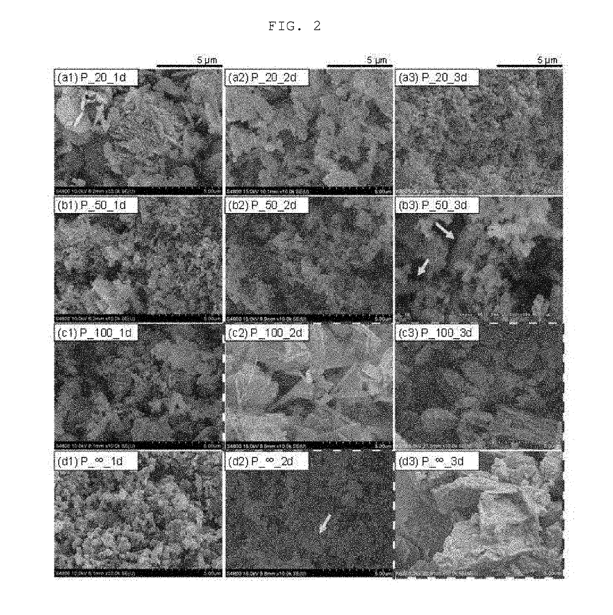 Method of fabricating organic structure directing agent-free cha type zeolite membrane and membrane fabricated thereby