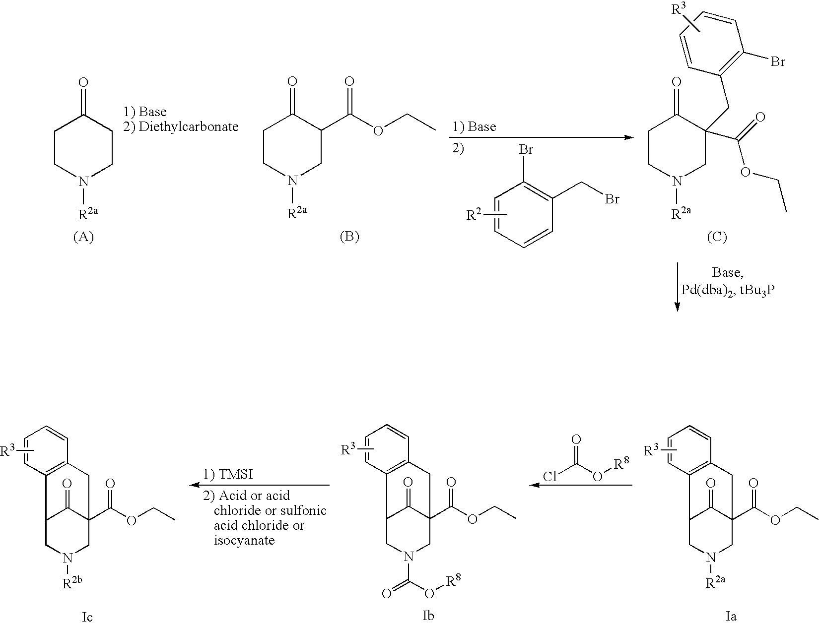 Substituted tricyclic piperidone compounds