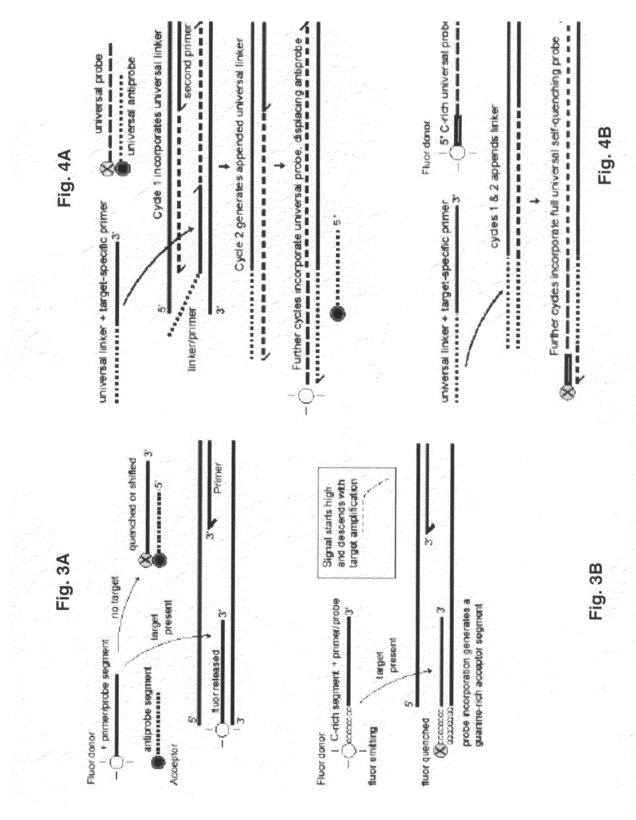 Probe-antiprobe compositions and methods for DNA or RNA detection