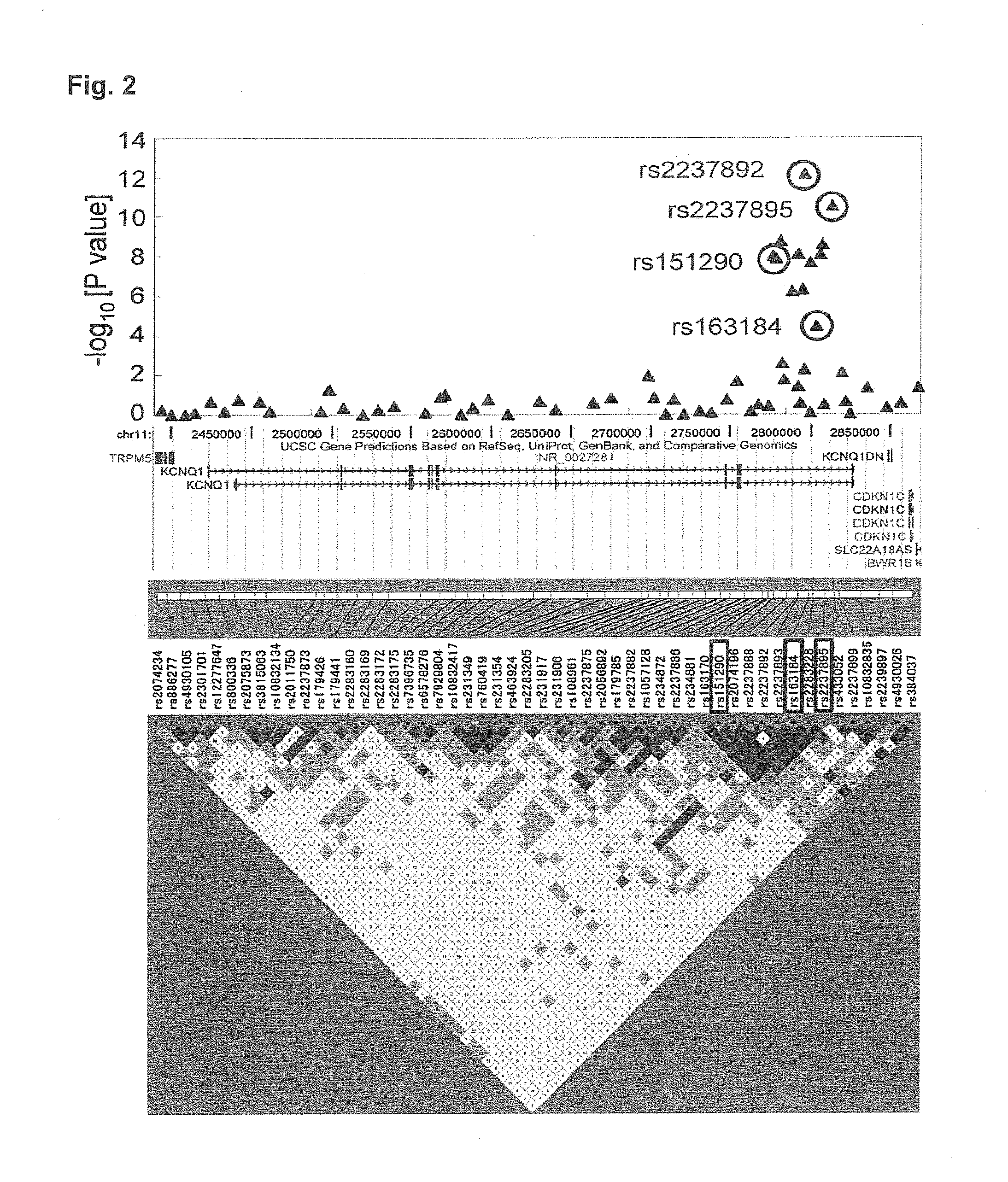 Test method for type-2 diabetes using gene polymorphism