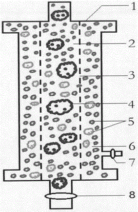 HIV phagocytosis organelle