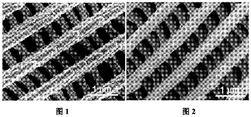 Metal surface enhanced Raman scattering substrate with three-dimensional period structure and preparation method thereof
