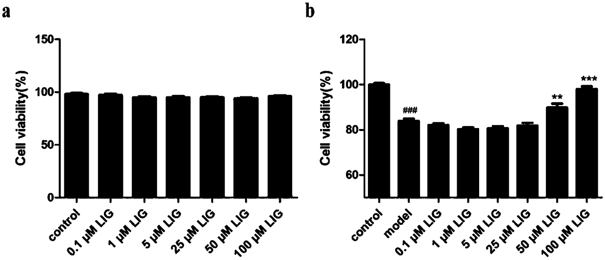 Application of ligustilide to preparation of drug for preventing and treating osteoporosis