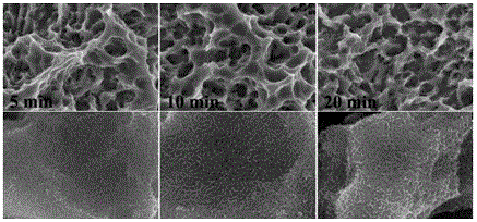 A preparation method of implant surface with multi-scale porous complex structure