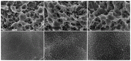 A preparation method of implant surface with multi-scale porous complex structure