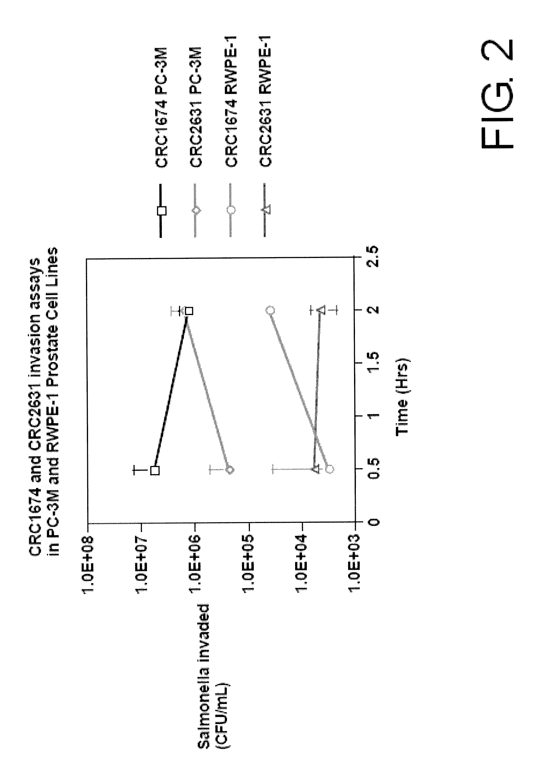 Microorganism Strain CRC2631 of Salmonella typhimurium and its Use as a Cancer Therapeutic