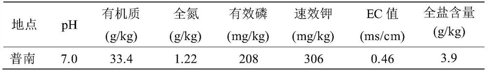 A special microbial agent for soil improvement and preparation method thereof