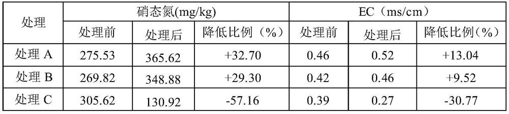 A special microbial agent for soil improvement and preparation method thereof