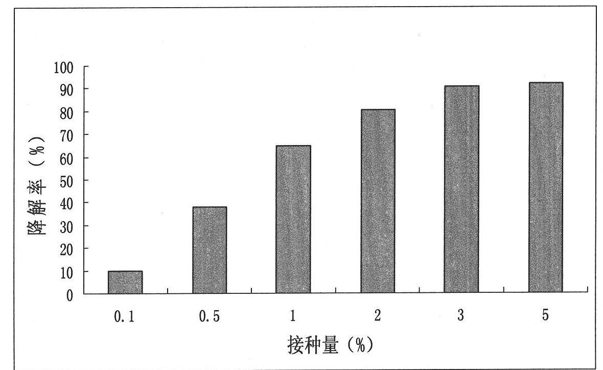 Triethylamine degrading bacterium and microbial agent produced therefrom