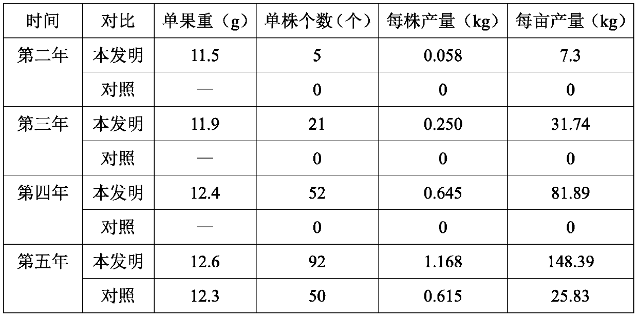 Carya illinoensis cultivation management and shaping method