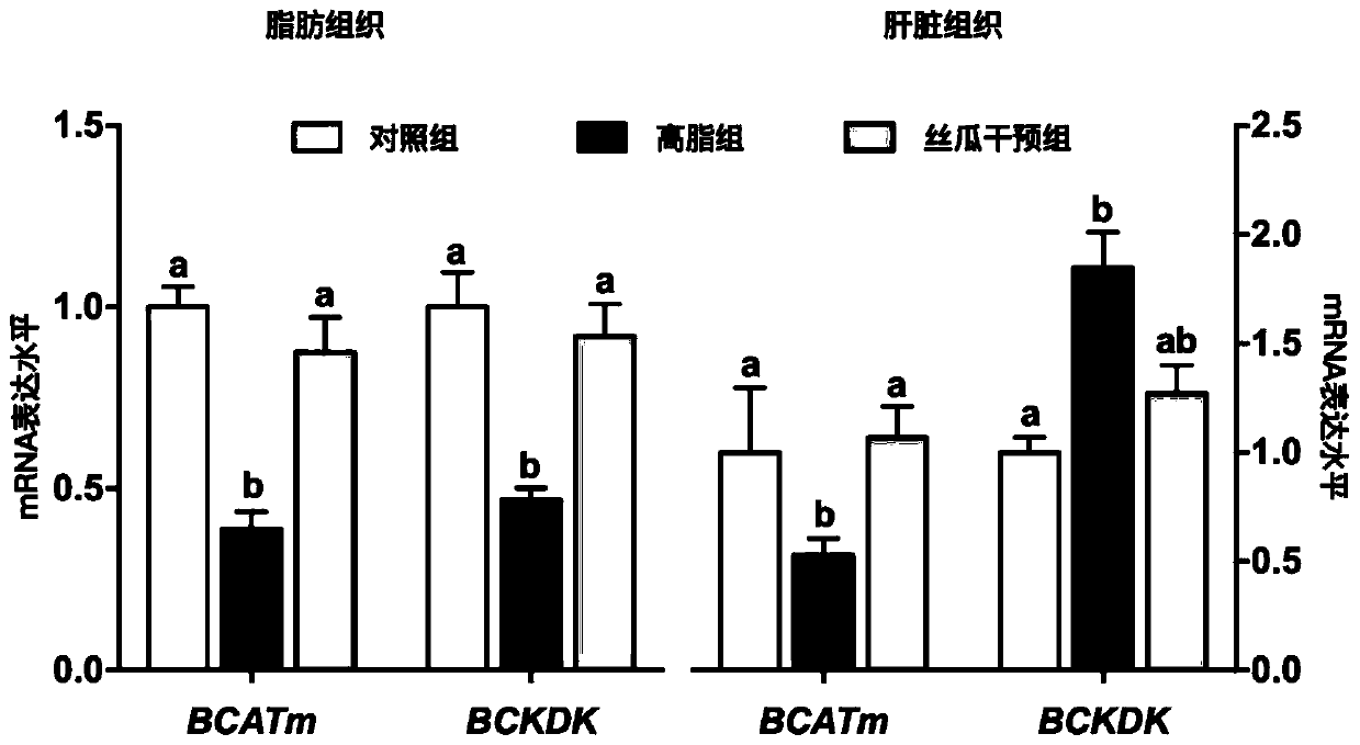 Application of sponge gourd powder in relieving branched-chain hyperaminoacidemia to inhibit obesity