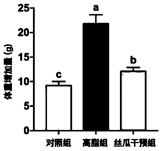 Application of sponge gourd powder in relieving branched-chain hyperaminoacidemia to inhibit obesity