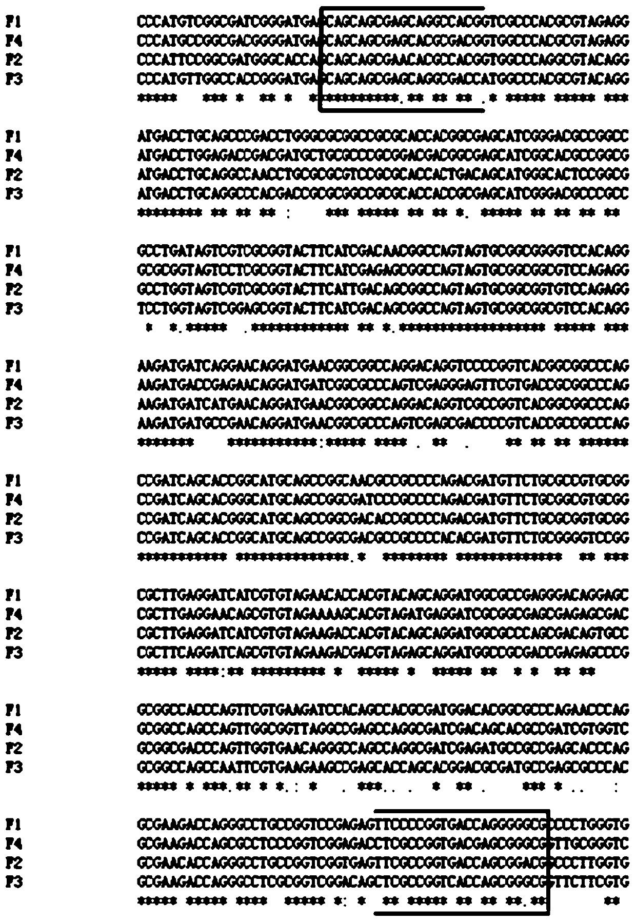 Method for cloning farnesyl transferase gene family member group