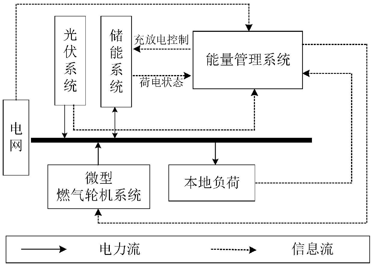 Microgrid source-storage joint planning multi-strategy evolutionary game analysis method based on subject finite rational decision