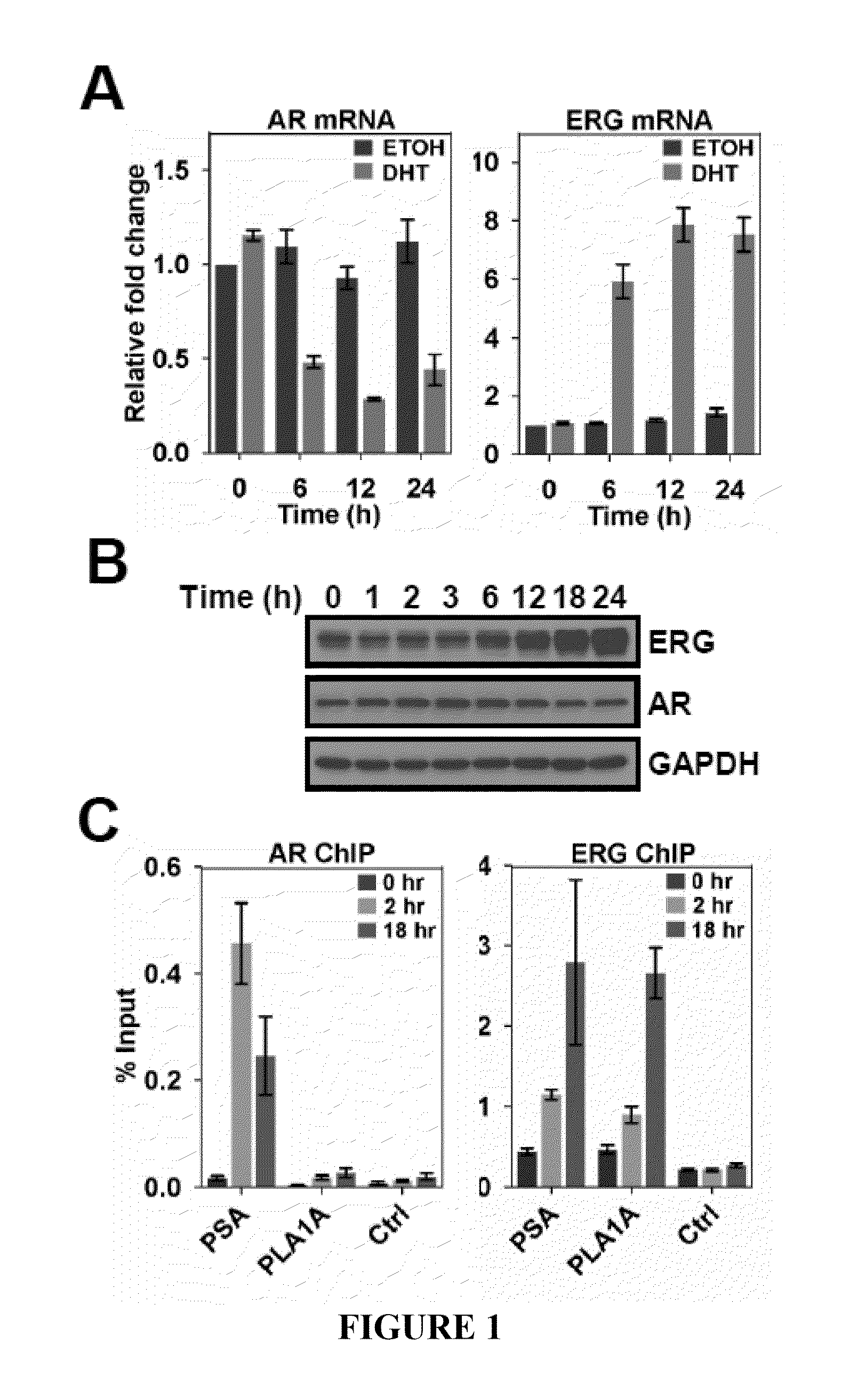 Method of modulating a prostate cancer cell