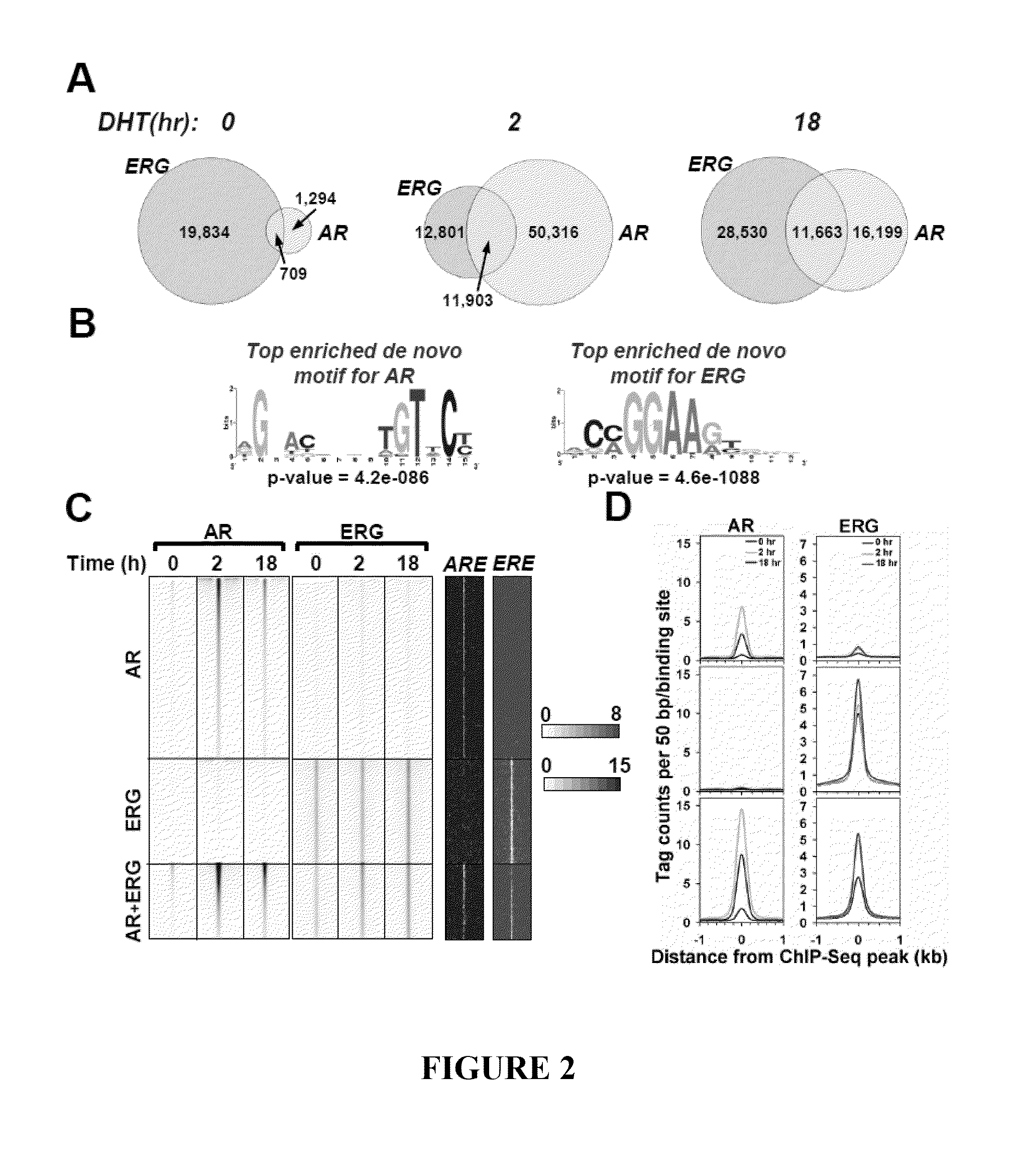 Method of modulating a prostate cancer cell