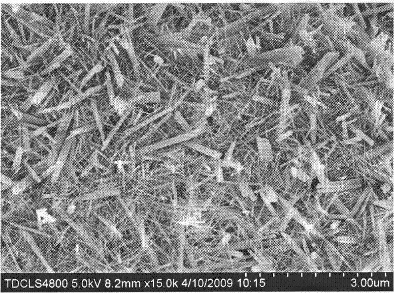 Method for growing and preparing aluminium borate whisker/ aluminium composite powder on aluminium powder surface in situ