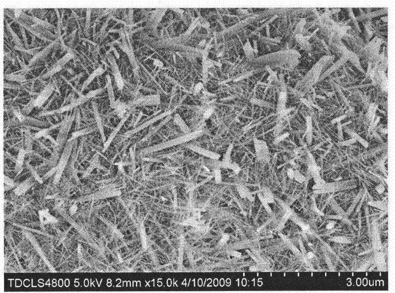 Method for growing and preparing aluminium borate whisker/ aluminium composite powder on aluminium powder surface in situ