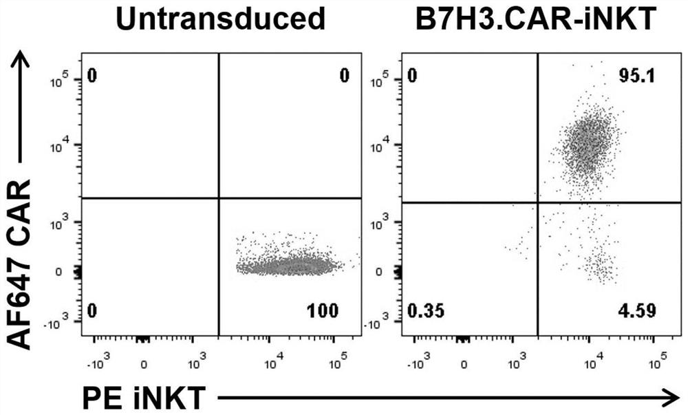 B7H3-targeted fully-humanized chimeric antigen receptor, iNKT cell and application thereof