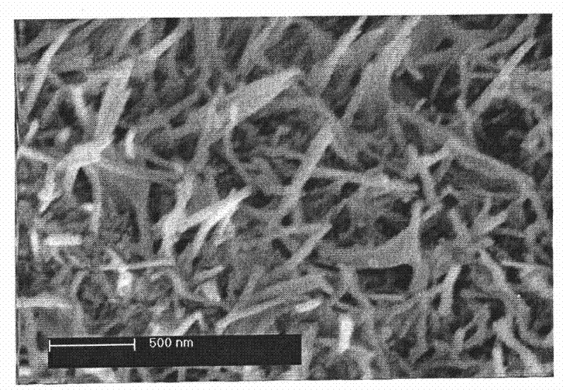 Natural lignocellulose material with modified zinc oxide and preparation method thereof