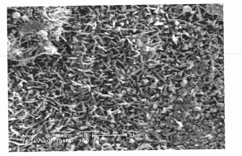 Natural lignocellulose material with modified zinc oxide and preparation method thereof